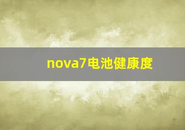 nova7电池健康度