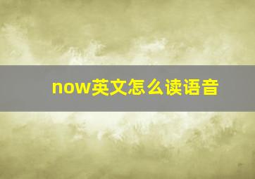 now英文怎么读语音