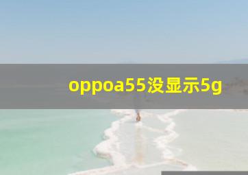 oppoa55没显示5g