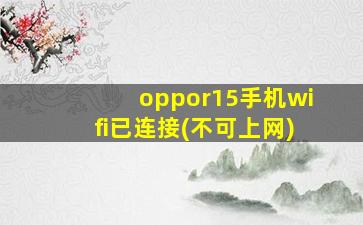 oppor15手机wifi已连接(不可上网)