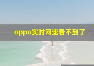 oppo实时网速看不到了