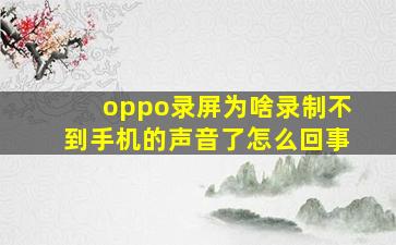 oppo录屏为啥录制不到手机的声音了怎么回事