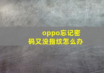 oppo忘记密码又没指纹怎么办