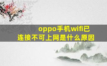 oppo手机wifi已连接不可上网是什么原因