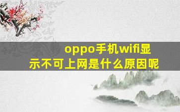 oppo手机wifi显示不可上网是什么原因呢