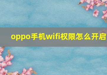 oppo手机wifi权限怎么开启