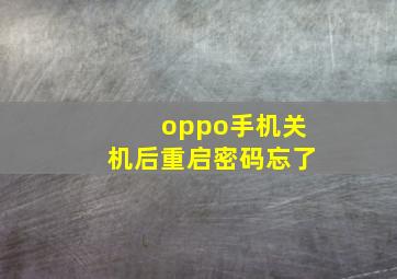 oppo手机关机后重启密码忘了