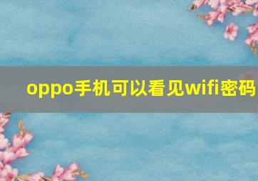 oppo手机可以看见wifi密码