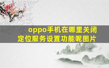 oppo手机在哪里关闭定位服务设置功能呢图片