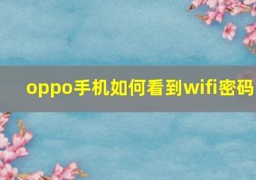 oppo手机如何看到wifi密码