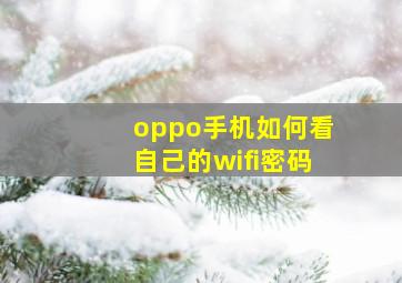 oppo手机如何看自己的wifi密码