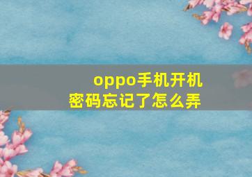 oppo手机开机密码忘记了怎么弄