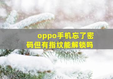 oppo手机忘了密码但有指纹能解锁吗