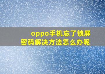 oppo手机忘了锁屏密码解决方法怎么办呢