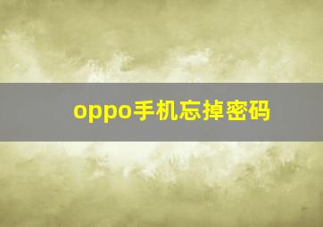 oppo手机忘掉密码