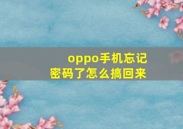 oppo手机忘记密码了怎么搞回来