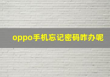 oppo手机忘记密码咋办呢