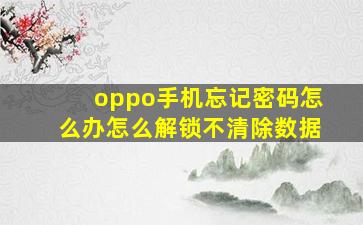 oppo手机忘记密码怎么办怎么解锁不清除数据