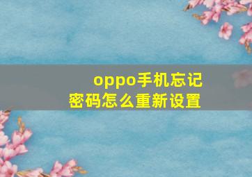 oppo手机忘记密码怎么重新设置