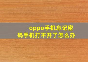 oppo手机忘记密码手机打不开了怎么办