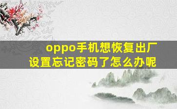 oppo手机想恢复出厂设置忘记密码了怎么办呢