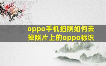 oppo手机拍照如何去掉照片上的oppo标识