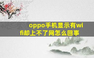 oppo手机显示有wifi却上不了网怎么回事