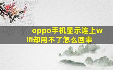 oppo手机显示连上wifi却用不了怎么回事