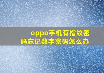 oppo手机有指纹密码忘记数字密码怎么办