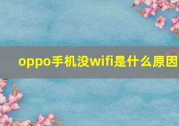 oppo手机没wifi是什么原因