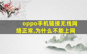 oppo手机链接无线网络正常,为什么不能上网