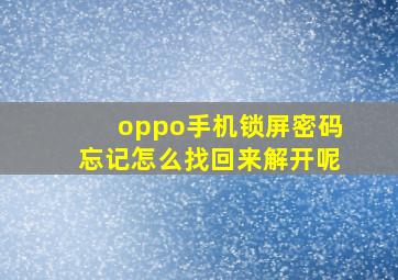 oppo手机锁屏密码忘记怎么找回来解开呢