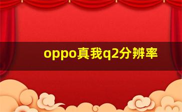 oppo真我q2分辨率