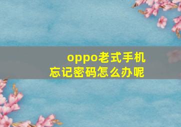 oppo老式手机忘记密码怎么办呢