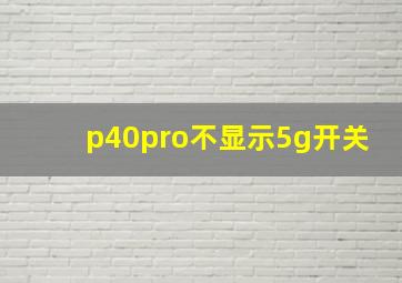 p40pro不显示5g开关