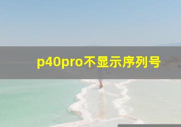 p40pro不显示序列号