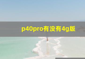 p40pro有没有4g版