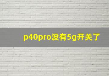 p40pro没有5g开关了