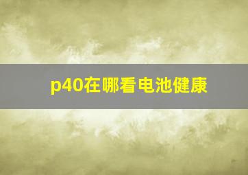 p40在哪看电池健康