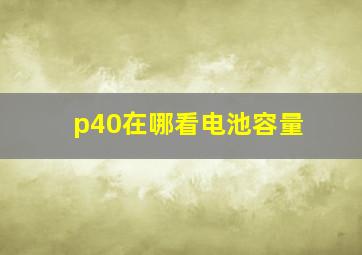 p40在哪看电池容量