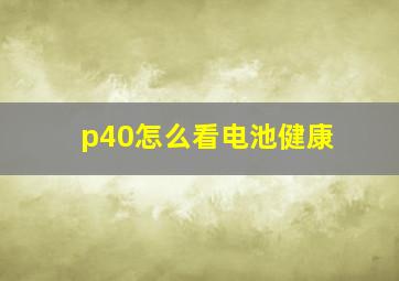 p40怎么看电池健康