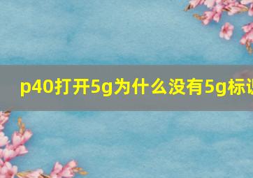 p40打开5g为什么没有5g标识