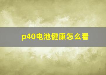 p40电池健康怎么看