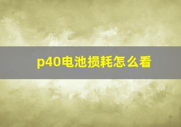 p40电池损耗怎么看