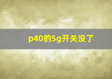 p40的5g开关没了