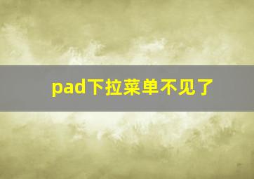 pad下拉菜单不见了