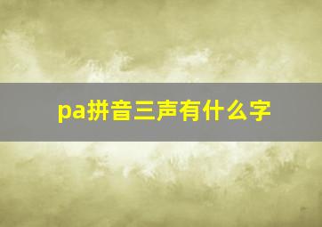 pa拼音三声有什么字