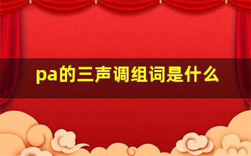 pa的三声调组词是什么