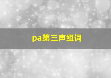 pa第三声组词