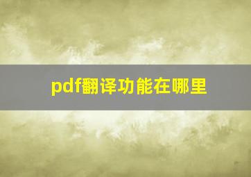 pdf翻译功能在哪里